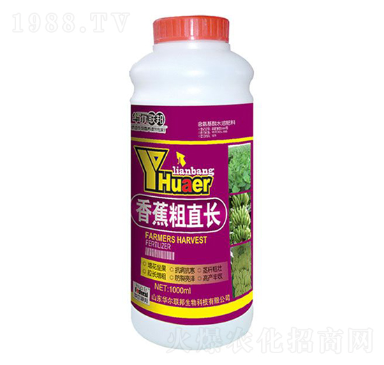 �㽶��ֱ�L-�A�����Z