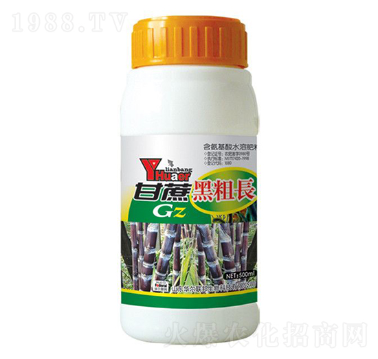 ����ڴ��L-�A�����Z