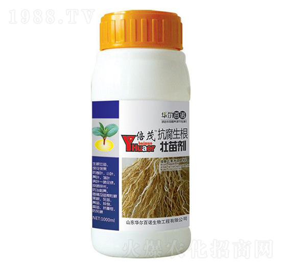 �����������焩-�A�����Z