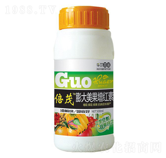 ����������t��-�A�����Z