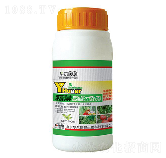 �߲˶�S�����L��-�A�����Z