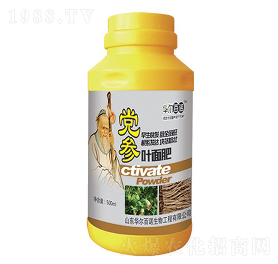 �h���~���-�A�����Z