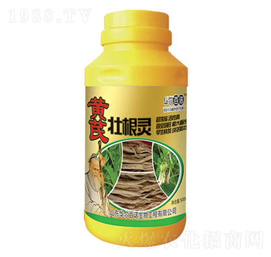 �S�ΉѸ��`-�A�����Z