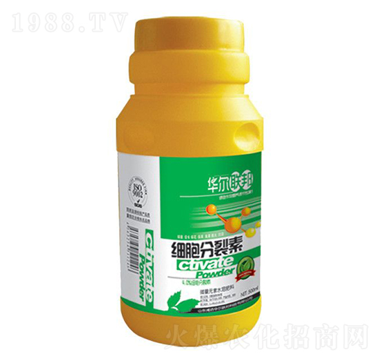 ��(x��)��������-�A�����Z