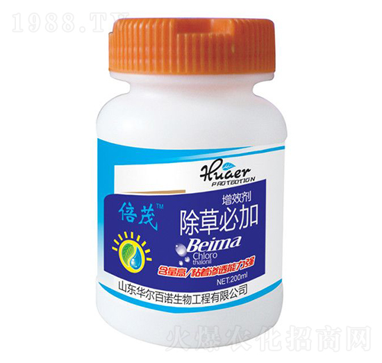 ��Ч��-���ݱؼ�-�A�����Z