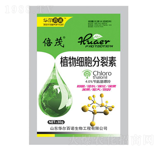 ֲ�：��������-�A�����Z