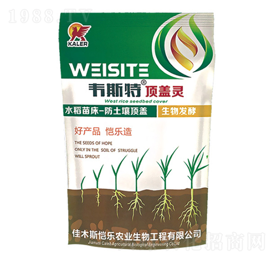 �紲��w�`-�f˹��-���r�I(y��)