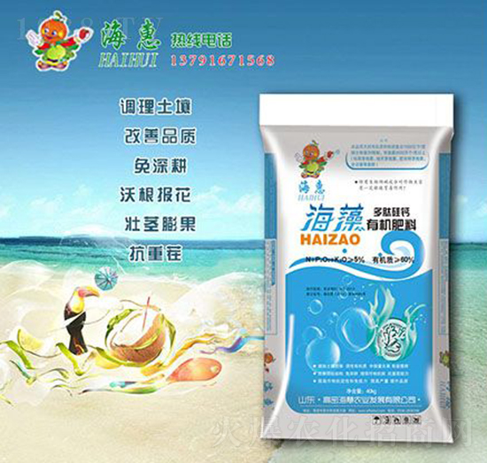 ������Ĺ��}�ЙC(j��)����-����