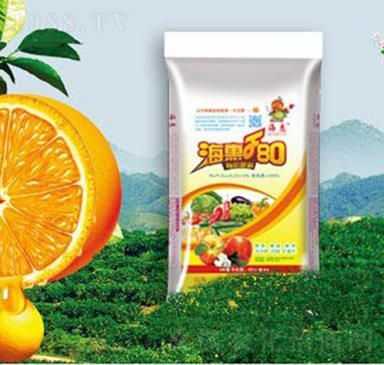 F80�ЙC����-����