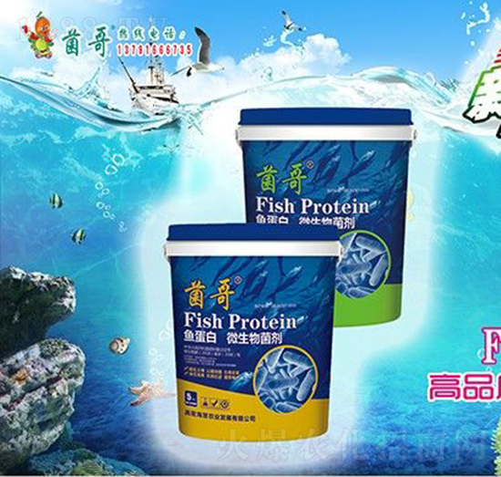 �~����΢�������-����