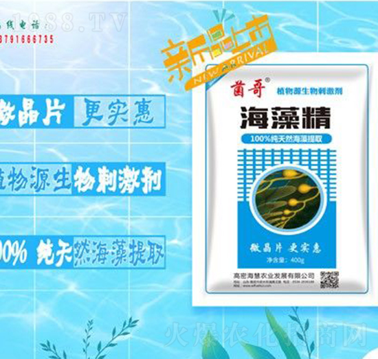 ���徫-����