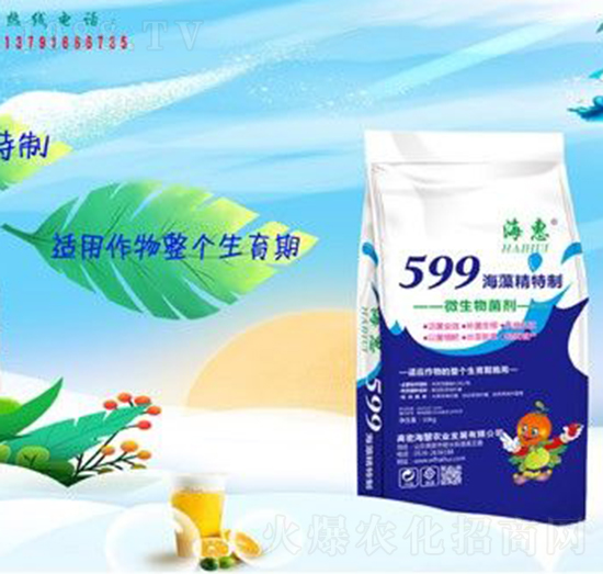 599���徫����-����