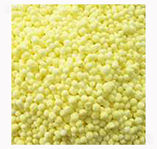 ���������-��ʩ��