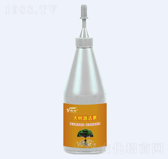 ��伤����-�ݠ��S����