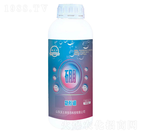 �Ǵ���-�����S���B(t��i)