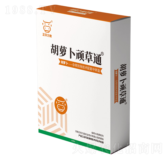 ���}���B��ͨ-���A����