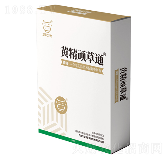 �S���B��ͨ-���A����