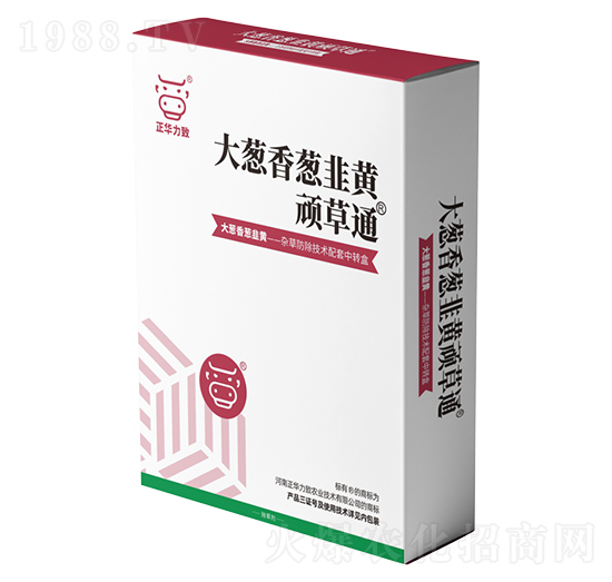 ���[�����[�����S�B��ͨ-���A����