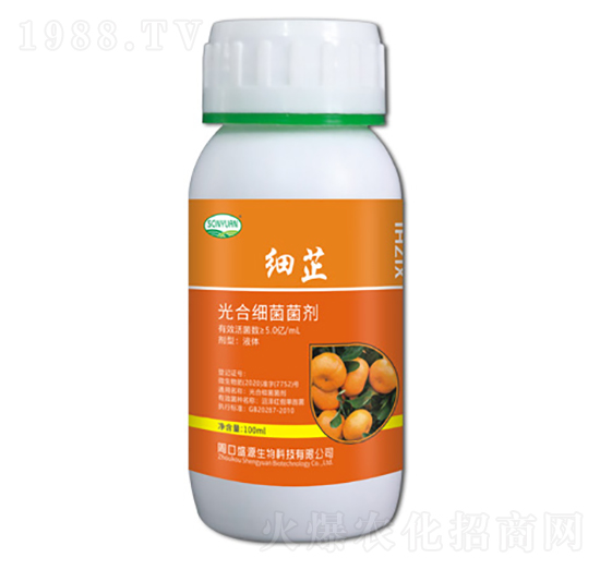 ���ƹ�ϼ�������-ʢԴ