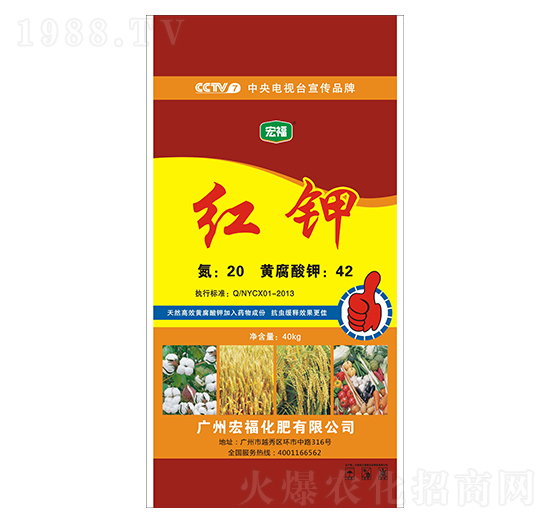 �t�-�������