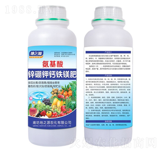 �������\����}�F�V��-�����r(n��ng)�I(y��)