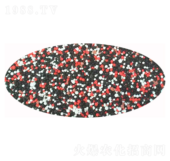 �����w������ɫ��-���M�}-�S����