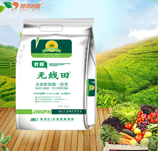 �������߾�������-�o(w��)��(xi��n)��-�°��~��