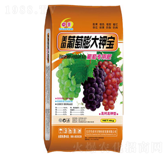 �������⛌�-�����ʘI(y��)