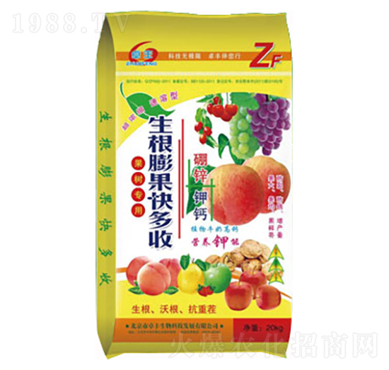 ������������-�����ʘI(y��)