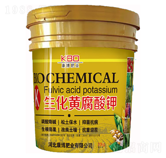 �����S�����-�����ʘI(y��)