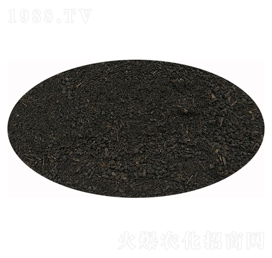 �����ЙC(j��)�ʷۄ�-��ɏ���