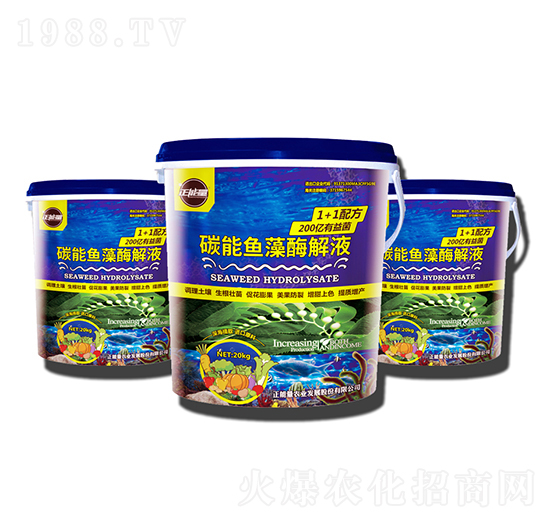 ̼���~��ø��Һ-������