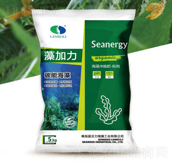 ����_ʩ��-�����-�{(l��n)ؐ��