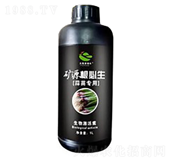 蒜苗專用礦源根必生-天威肥業(yè)