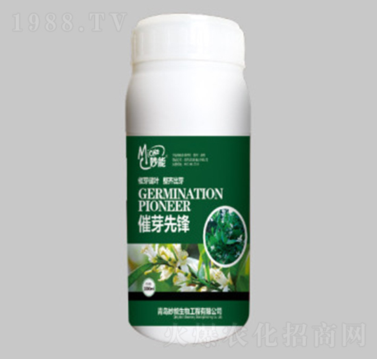 ��ѿ���h-��������