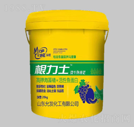 20kg����ʿ-��������