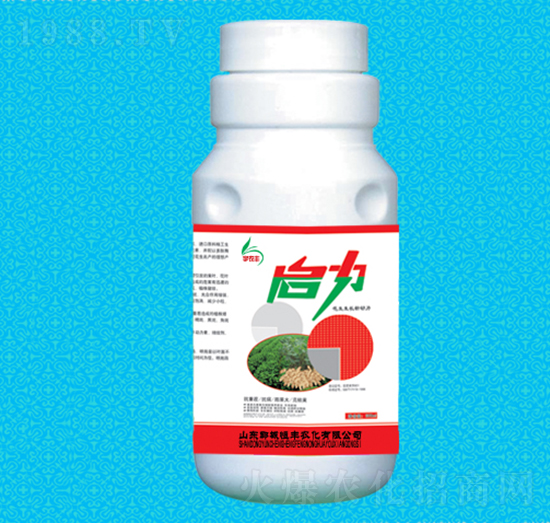 ����������(zhu��n)�÷�-���S�r(n��ng)��