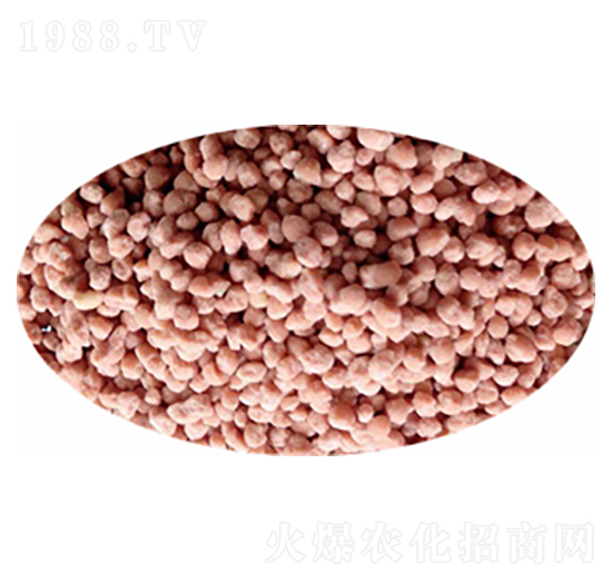 ���򵪷�-��(gu��)�r(n��ng)�r(n��ng)�I(y��)