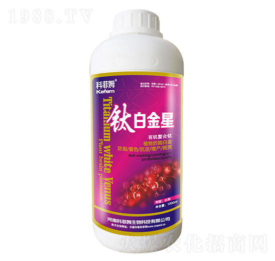 �ЙC�����-⁰׽���-�Ʒ�ķ