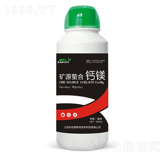 �VԴ�����}�V-���S˹�طʘI(y��)