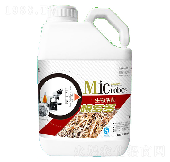 �����-��ʿ��