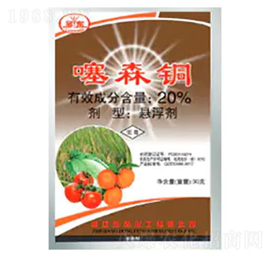 20%��ɭ�~�Ҹ���-�|�L����