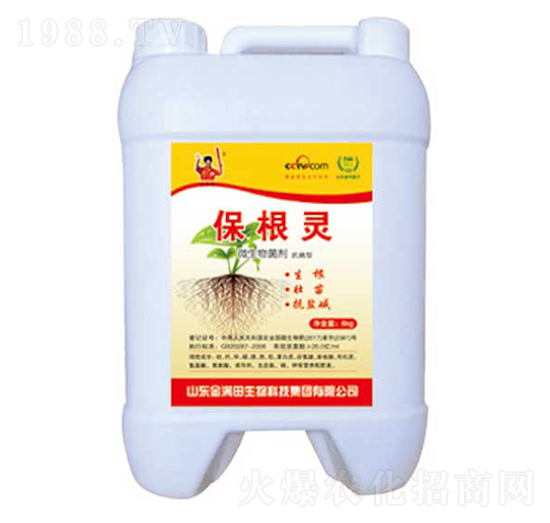 �����`΢�������-��M��