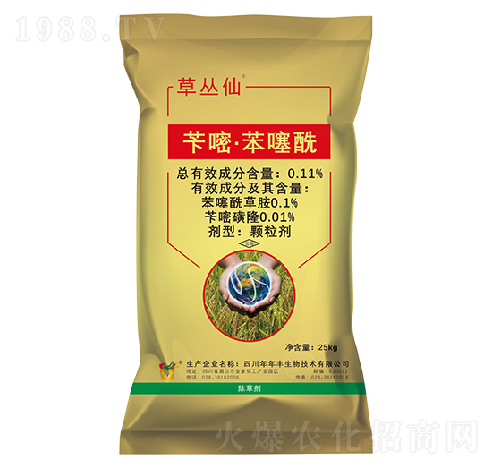 �S�ס�������������ˎ��-�ݏ���-�����S����