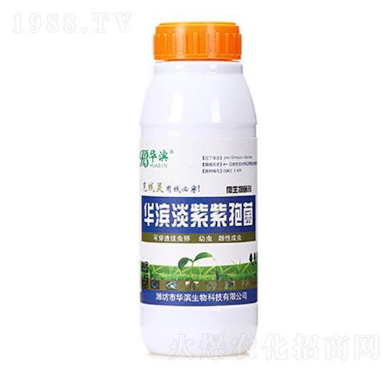 �A�I�������߾�-�A�I����