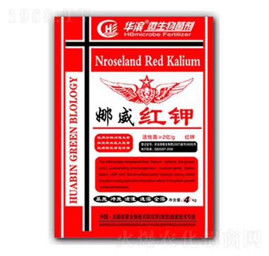 �����t�-�A�I����