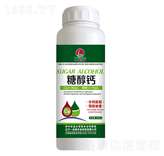 �Ǵ��}-һ����