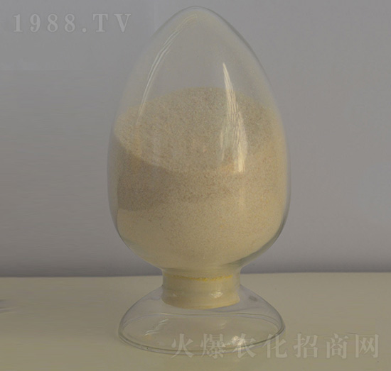 98%���ᶡ���-�����r�I(y��)