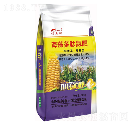 ���������ͺ�����ĵ���-���r