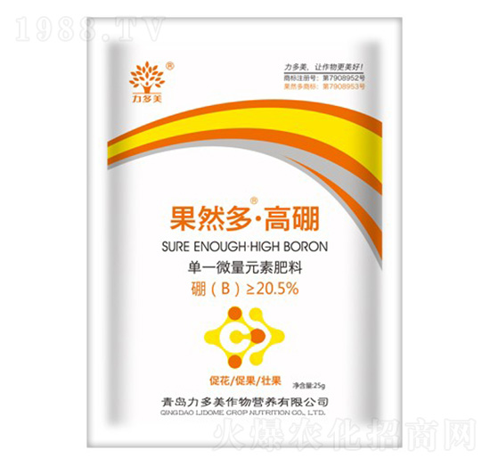 ��Ȼ�ࡤ����-�r(n��ng)ʥ��